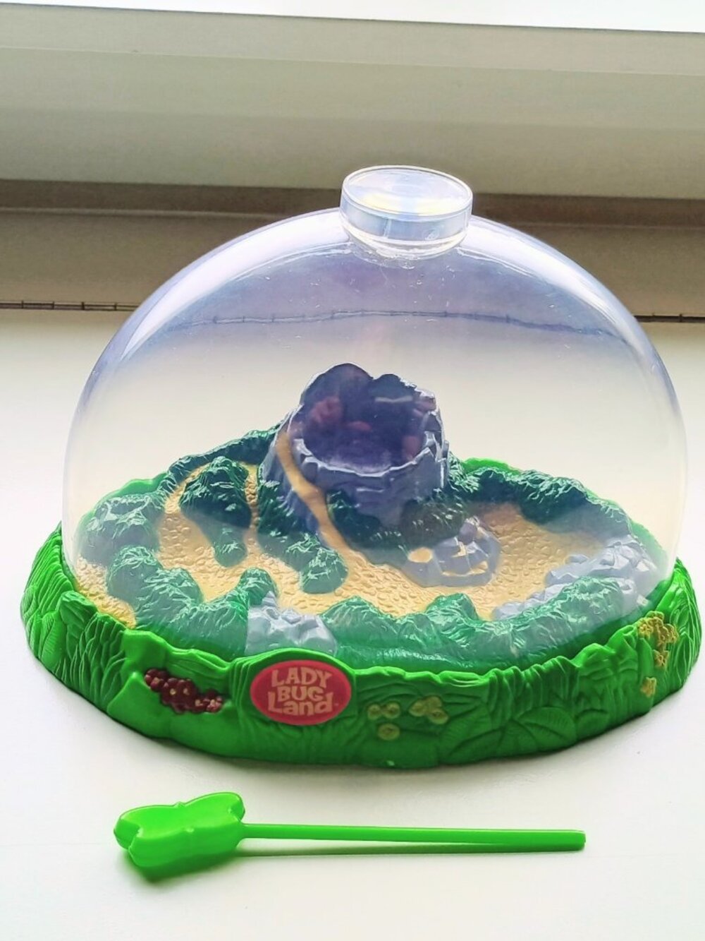 Lady Bug Land Bug Habitat Terrarium Playset w/ Clear Dome & Feeding Tool